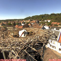 15_15-nest.jpg