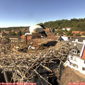 15_20-nest.jpg