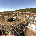 15_25-nest.jpg