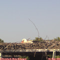 15_30-mast.jpg