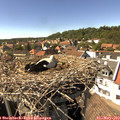 15_35-nest.jpg