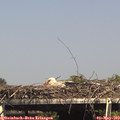 15_40-mast.jpg