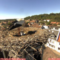 15_45-nest.jpg