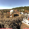 15_55-nest.jpg
