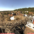 16_00-nest.jpg