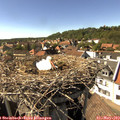 16_05-nest.jpg
