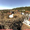 16_10-nest.jpg