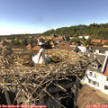 16_15-nest.jpg