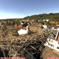 16_20-nest.jpg