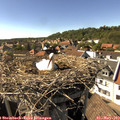 16_25-nest.jpg