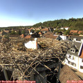 16_30-nest.jpg
