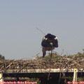 16_35-mast.jpg