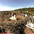 16_45-nest.jpg