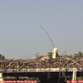16_50-mast.jpg