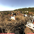 16_50-nest.jpg