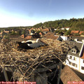 17_05-nest.jpg