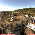 17_10-nest.jpg