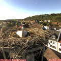 17_45-nest.jpg