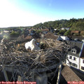 18_40-nest.jpg