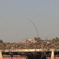 19_05-mast.jpg