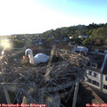 19_45-nest.jpg