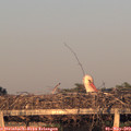 20_05-mast.jpg