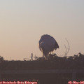06_15-mast.jpg