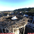 06_40-nest.jpg