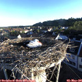 06_45-nest.jpg