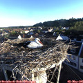 06_50-nest.jpg
