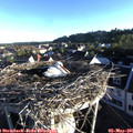 06_55-nest.jpg