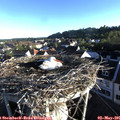 07_00-nest.jpg