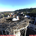 07_05-nest.jpg