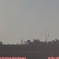 07_10-mast.jpg