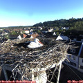 07_10-nest.jpg