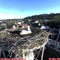 07_15-nest.jpg