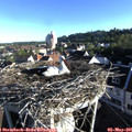 07_20-nest.jpg