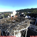 07_25-nest.jpg
