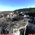 07_30-nest.jpg