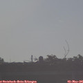07_35-mast.jpg