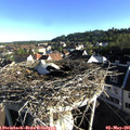 07_35-nest.jpg