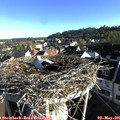 07_40-nest.jpg
