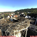 07_45-nest.jpg