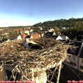 07_55-nest.jpg
