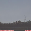 08_00-mast.jpg