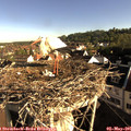 08_05-nest.jpg