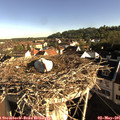 08_10-nest.jpg