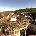 08_15-nest.jpg