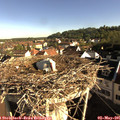 08_20-nest.jpg