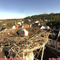 08_25-nest.jpg